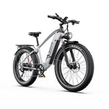 DUOTTS F26 Lite 26" Elektro-Mountainbike 500W Motoren 48V 18Ah Batterie
