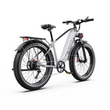 DUOTTS F26 Lite 26" Elektro-Mountainbike 500W Motoren 48V 18Ah Batterie