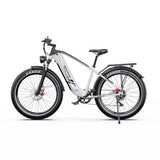 DUOTTS F26 Lite 26" Elektro-Mountainbike 500W Motoren 48V 18Ah Batterie