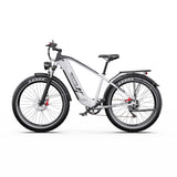 DUOTTS F26 Lite 26" Elektro-Mountainbike 500W Motoren 48V 18Ah Batterie