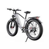DUOTTS F26 Lite 26" Elektro-Mountainbike 500W Motoren 48V 18Ah Batterie