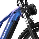 DUOTTS E26 26" Elektro Mountainbike Mit 750W Motor 48V 20Ah Batterie