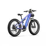 DUOTTS E26 26" Elektro Mountainbike Mit 750W Motor 48V 20Ah Batterie