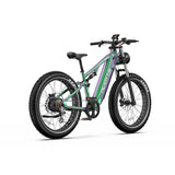 DUOTTS E26 26" Elektro Mountainbike Mit 750W Motor 48V 20Ah Batterie