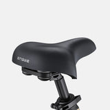 ENGWE L20 3.0 Pro 20" Tiefeinsteiger-Elektrofahrrad 250W Motor 48V 15Ah Batterie