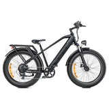 ENGWE E26 26" Fat Tire All-Terrain Elektrofahrrad 250W Motor 48V 16Ah Batterie