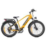 ENGWE E26 26" Fat Tire All-Terrain Elektrofahrrad 1000W Motor Peak 48V 16Ah Akku