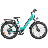 ENGWE E26 26" Fat Tire All-Terrain Electric Bike 1000W Motor Peak 48V 16Ah Akku