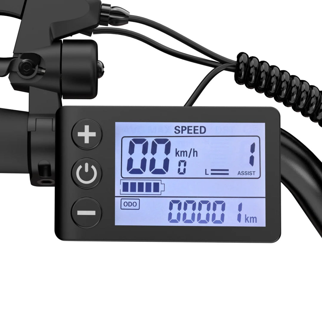 ESKUTE C100 26" City-Elektrofahrrad 250W Motor 36V 10.4Ah Batterie