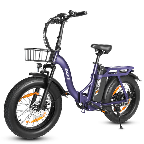 ESKUTE D202 20" Faltbares Elektrofahrrad 250W Motor 48V 20.8Ah Batterie