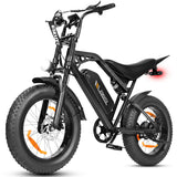 ESKUTE V202 20" Offroad-Elektrofahrrad 250W Motor 48V 20.8Ah Batterie