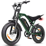 ESKUTE V202 20" Offroad-Elektrofahrrad 250W Motor 48V 20.8Ah Batterie