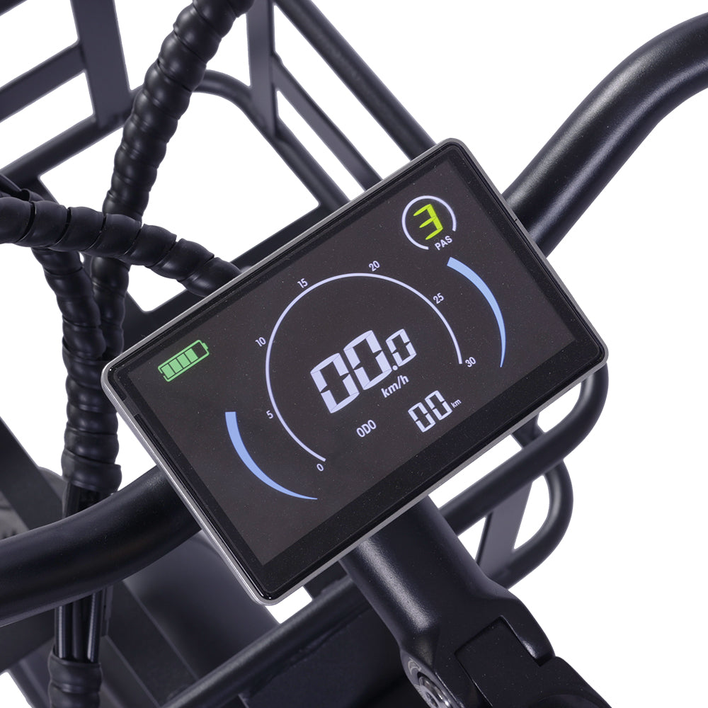 GOGOBEST GF200 20" Elektro-Lastenrad mit 500W Motor und 48V 15,6Ah batterie