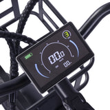 GOGOBEST GF200 20" Elektro-Lastenrad mit 500W Motor und 48V 15,6Ah batterie