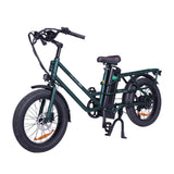 GOGOBEST GF200 20" Elektro-Lastenrad mit 500W Motor und 48V 15,6Ah batterie