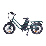 GOGOBEST GF200 20" Elektro-Lastenrad mit 500W Motor und 48V 15,6Ah batterie
