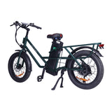 GOGOBEST GF200 20" Elektro-Lastenrad mit 500W Motor und 48V 15,6Ah batterie