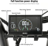 BAOLUJIE DP2033 E-Bike-Farb-LCD-Vollfunktions-Leistungsdisplay