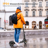 ISINWHEEL E9 8,5" E-Scooter Mit Straßenzulassung 350W Motor 36V 7,5Ah Batterie (ABE)