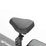 IWAFO IS2 10" Sitzender Elektroroller 800W Motor 48V 15Ah Batterie