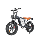 JANSNO X60G 20" Fat Tires Elektrofahrräder 750W*2 Doppelmotor 48V 23Ah Batterie