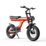 JANSNO X90-Y 16" Offroad-Elektrofahrrad 750W Motor 48V 25Ah Batterie