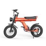 JANSNO X90-Y 16" Offroad-Elektrofahrrad 750W Motor 48V 25Ah Batterie