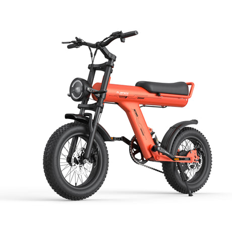 JANSNO X90-Y 16" Offroad-Elektrofahrrad 750W Motor 48V 25Ah Batterie