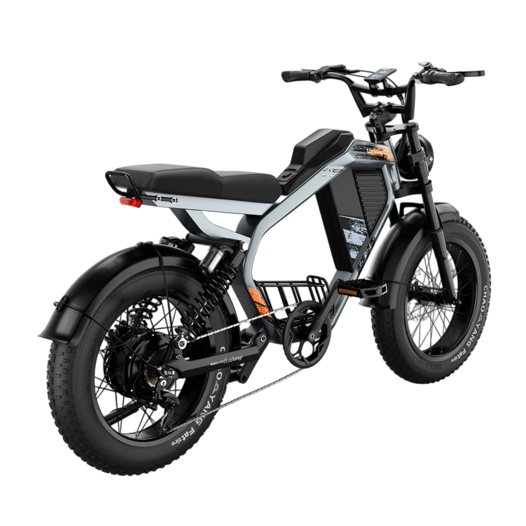 LUCKEEP M5 20" Elektro-Dirt-Bike 1000W Motor 48V 15Ah/35Ah Batterie