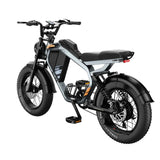 LUCKEEP M5 20" Elektro-Dirt-Bike 1000W Motor 48V 15Ah/35Ah Batterie
