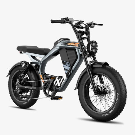 LUCKEEP M5 20" Elektro-Dirt-Bike 1000W Motor 48V 15Ah/35Ah Batterie