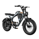 LUCKEEP M5 20" Elektro-Dirt-Bike 1000W Motor 48V 15Ah/35Ah Batterie