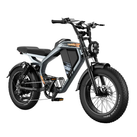 LUCKEEP M5 20" Elektro-Dirt-Bike 1000W Motor 48V 15Ah/35Ah Batterie