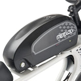 MEELOD DK300 PLUS 20" Elektrofahrrad im Retro-Moped-Stil 1200W Spitzenmotor 48V 20Ah Batterie