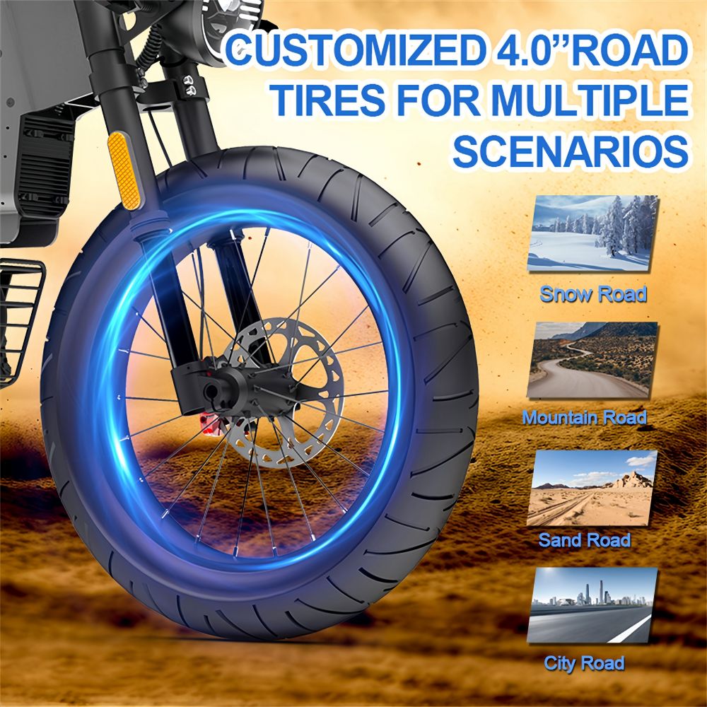 NEXXBIKE X5 Plus 20" Fat Tires Elektro-Dirtbike 2000W-Spitzenmotor 48V 25Ah Batterie mit NFC Schlüssel