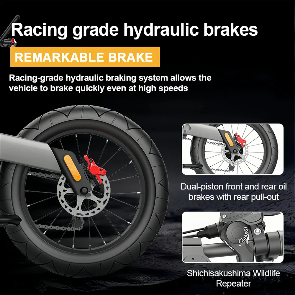 NEXXBIKE X5 Plus 20" Fat Tires Elektro-Dirtbike 2000W-Spitzenmotor 48V 25Ah Batterie mit NFC Schlüssel