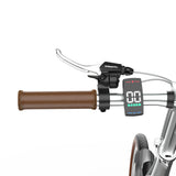 ONESPORT OT02 PRO 20" Faltbares Elektrofahrrad 250W Motor 36V 5.2Ah Batterie