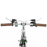 ONESPORT OT02 PRO 20" Faltbares Elektrofahrrad 250W Motor 36V 5.2Ah Batterie