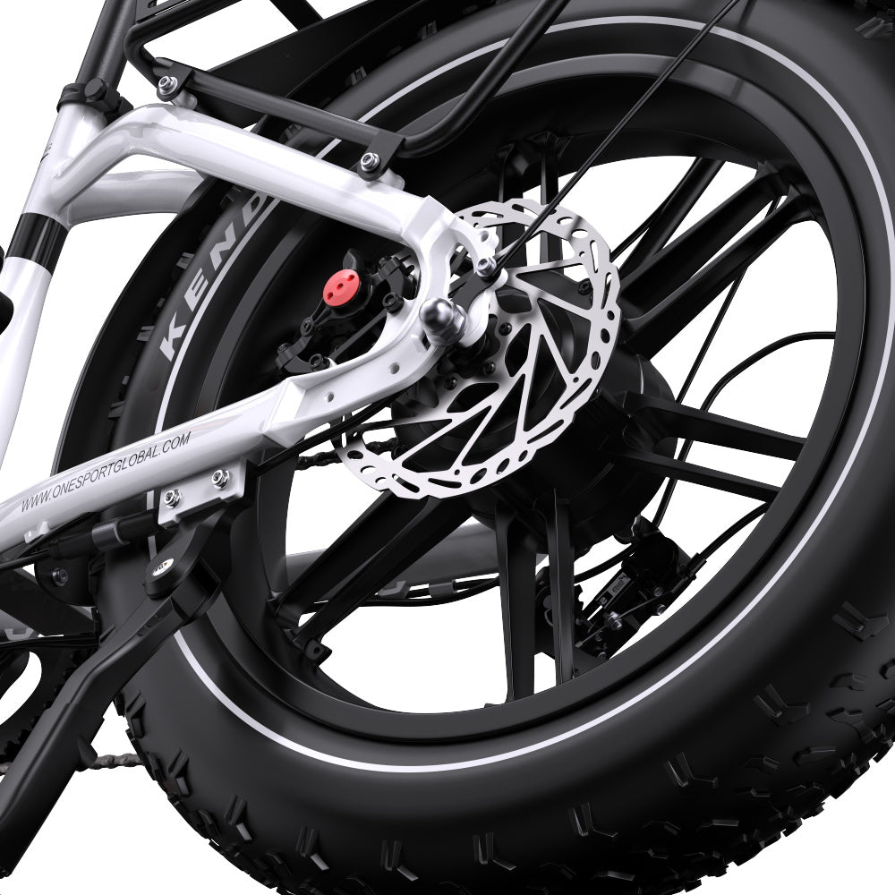 ONESPORT OT08 20" Fat Tire All-Terrain E-Bike mit 500W Motor und 48V 18Ah Batterie