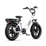 ONESPORT OT08 20" Fat Tire All-Terrain E-Bike mit 500W Motor und 48V 18Ah Batterie