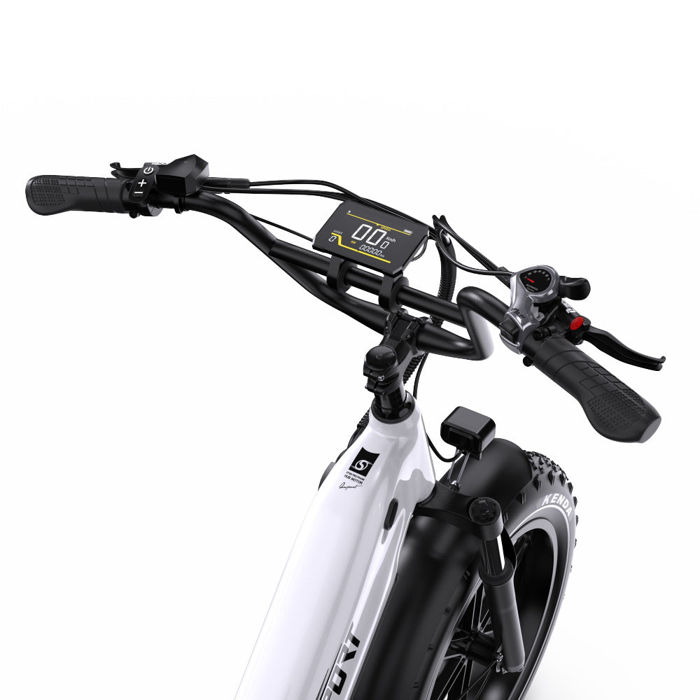 ONESPORT OT08 20" Fat Tire All-Terrain E-Bike mit 500W Motor und 48V 18Ah Batterie