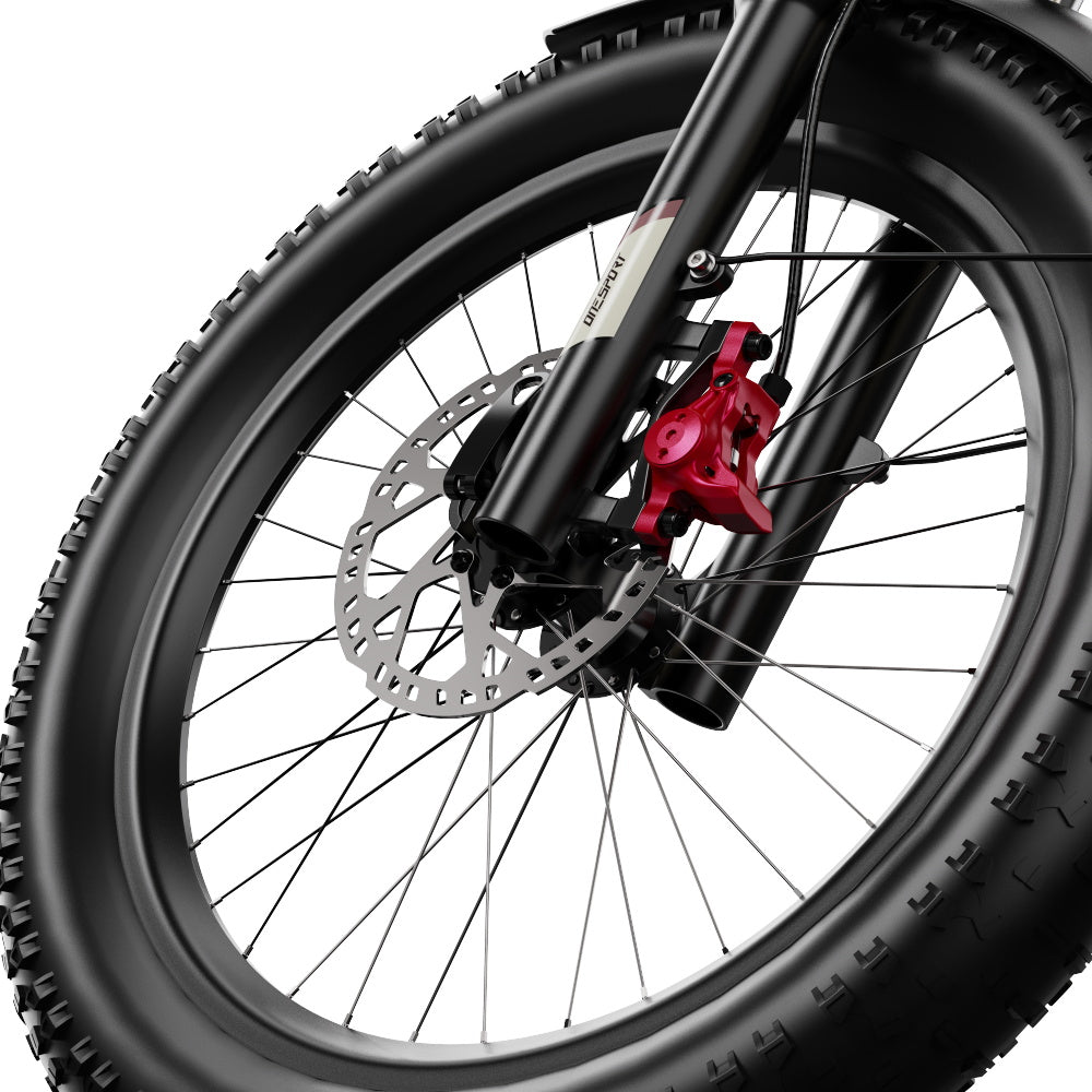 ONESPORT OT30 PRO 20" Klappbares E-Dreirad mit 3 Rädern | 500W Motor, 48V 18Ah Batterie
