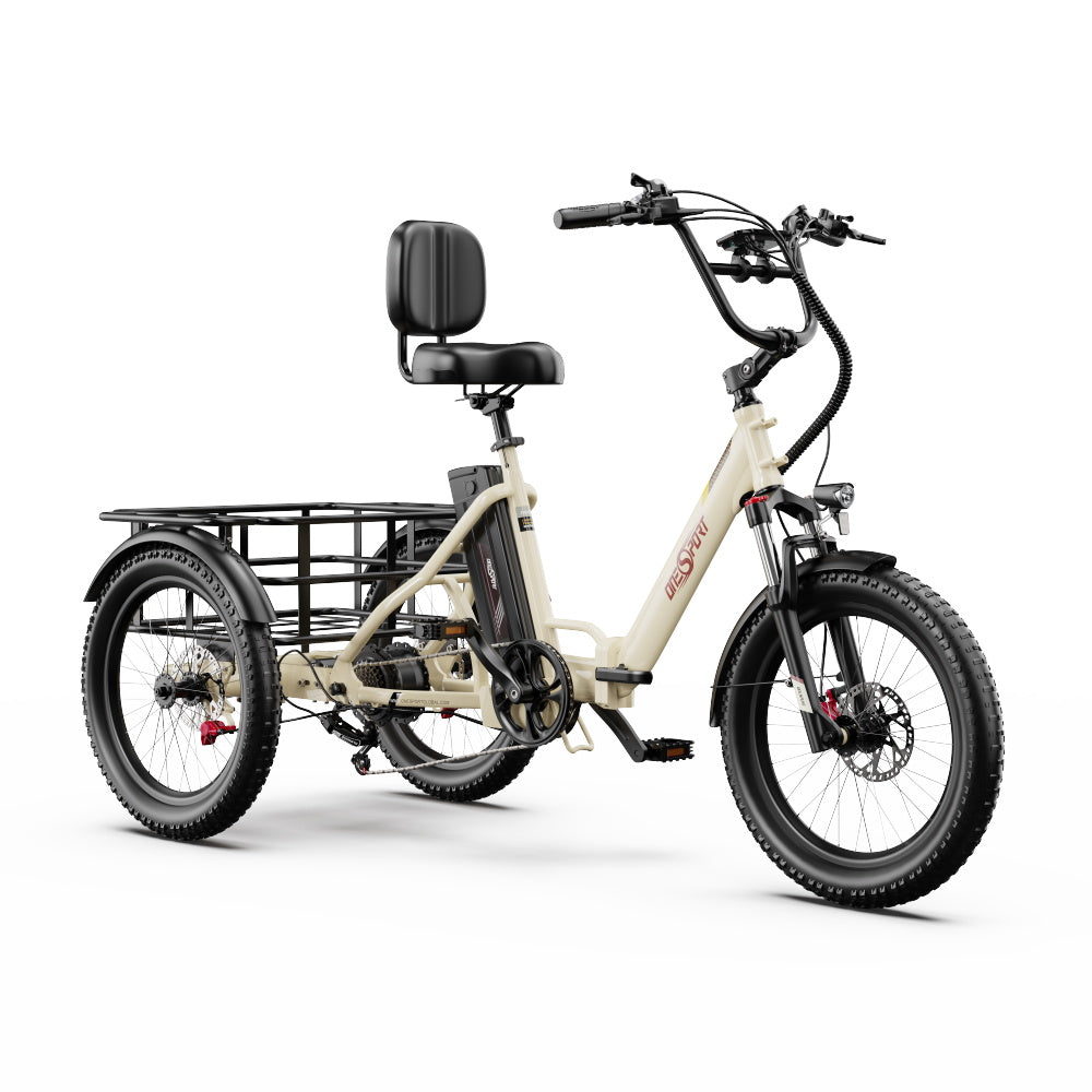ONESPORT OT30 PRO 20" Klappbares E-Dreirad mit 3 Rädern | 500W Motor, 48V 18Ah Batterie