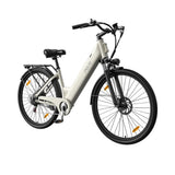 PIXAR C1 28" Fat Tire Elektrofahrrad 250W Motor 36V 13Ah Batterie