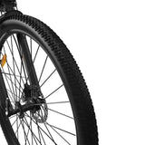 PIXAR C1 28" Fat Tire Elektrofahrrad 250W Motor 36V 13Ah Batterie