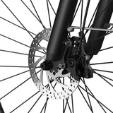 PIXAR C1 28" Fat Tire Elektrofahrrad 250W Motor 36V 13Ah Batterie
