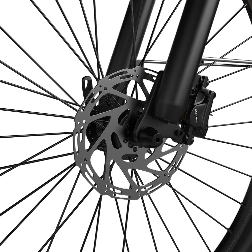 PIXAR C1 PRO 28" Fat Tire Elektrofahrrad 250W Motor 36V 13Ah Batterie