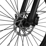 PIXAR C1 PRO 28" Fat Tire Elektrofahrrad 250W Motor 36V 13Ah Batterie