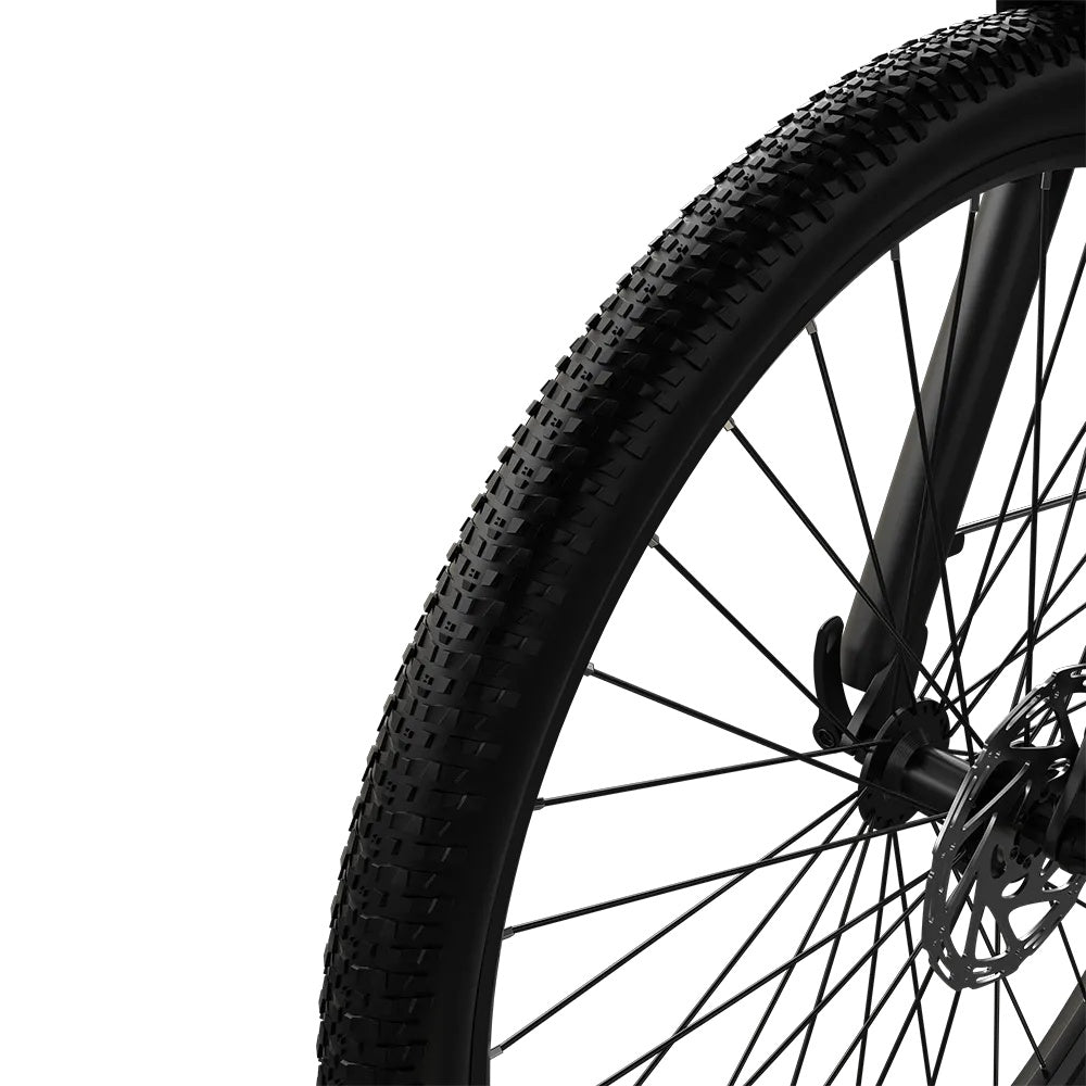 PIXAR C1 PRO 28" Fat Tire Elektrofahrrad 250W Motor 36V 13Ah Batterie