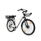 PIXAR C1 PRO 28" Fat Tire Elektrofahrrad 250W Motor 36V 13Ah Batterie
